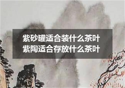 紫砂罐适合装什么茶叶 紫陶适合存放什么茶叶