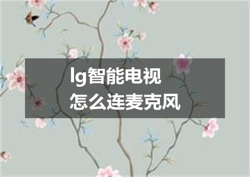 lg智能电视怎么连麦克风