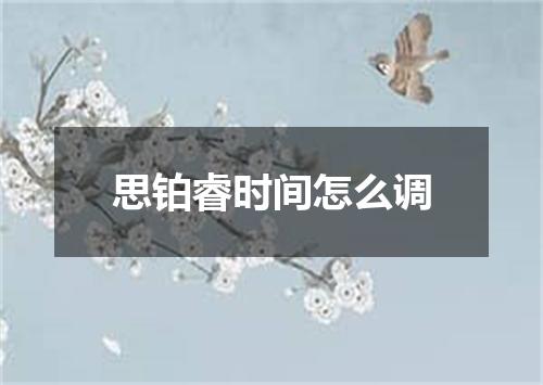 思铂睿时间怎么调