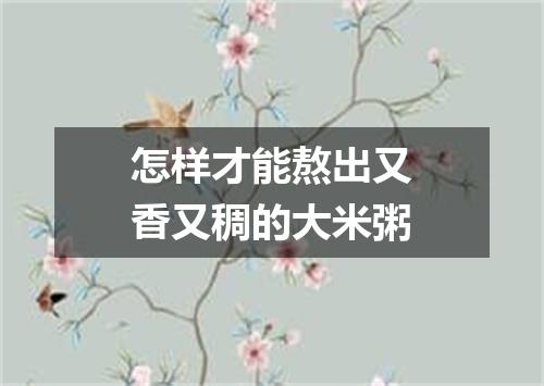 怎样才能熬出又香又稠的大米粥