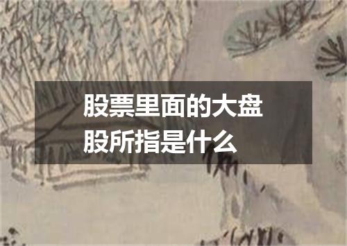 股票里面的大盘股所指是什么