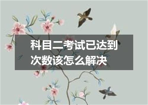 科目二考试已达到次数该怎么解决