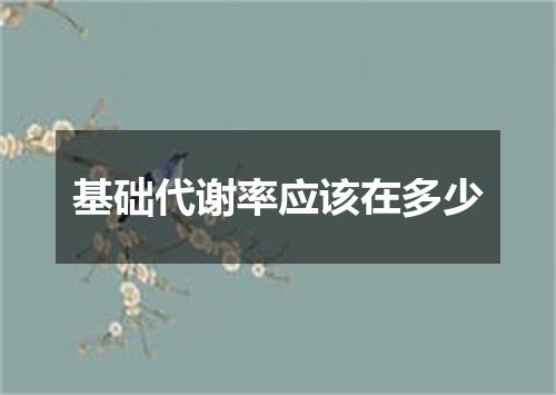 基础代谢率应该在多少