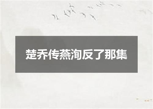 楚乔传燕洵反了那集