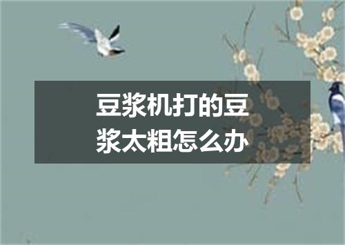 豆浆机打的豆浆太粗怎么办