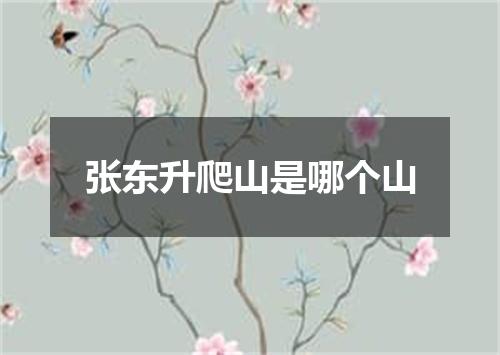 张东升爬山是哪个山