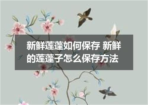 新鲜莲蓬如何保存 新鲜的莲蓬子怎么保存方法