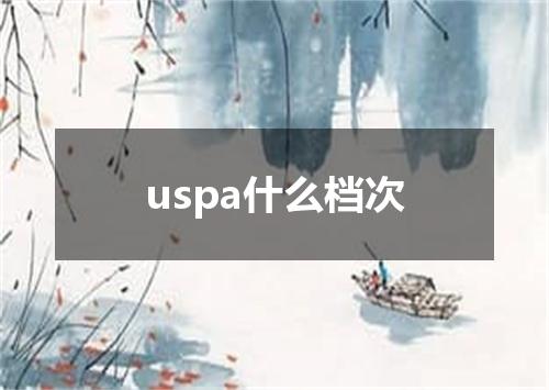 uspa什么档次