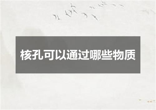 核孔可以通过哪些物质