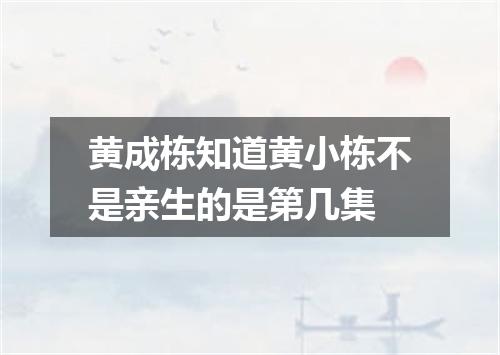 黄成栋知道黄小栋不是亲生的是第几集