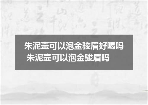 朱泥壶可以泡金骏眉好喝吗 朱泥壶可以泡金骏眉吗