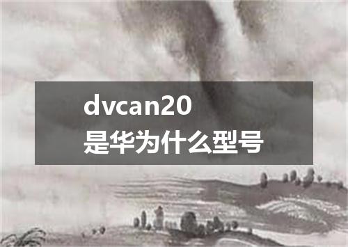 dvcan20是华为什么型号