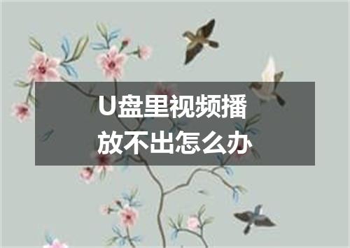 U盘里视频播放不出怎么办
