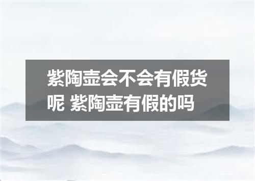 紫陶壶会不会有假货呢 紫陶壶有假的吗