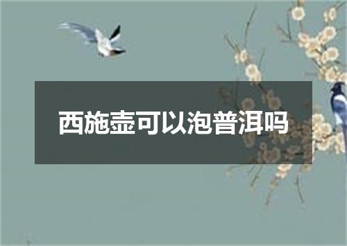 西施壶可以泡普洱吗