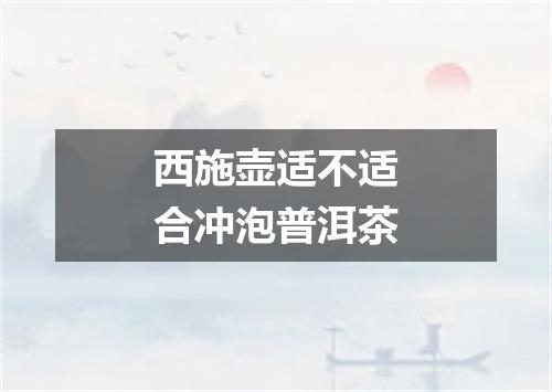 西施壶适不适合冲泡普洱茶