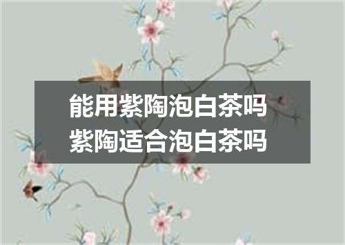 能用紫陶泡白茶吗 紫陶适合泡白茶吗