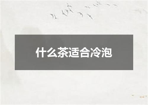 什么茶适合冷泡