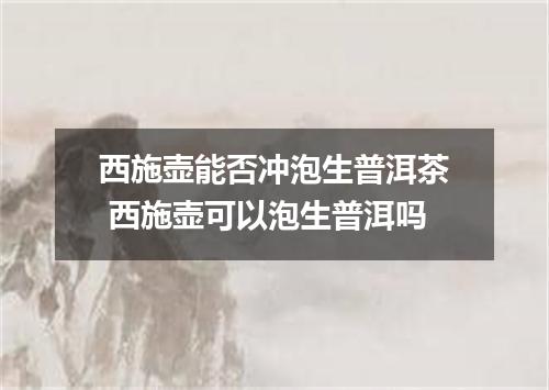 西施壶能否冲泡生普洱茶 西施壶可以泡生普洱吗