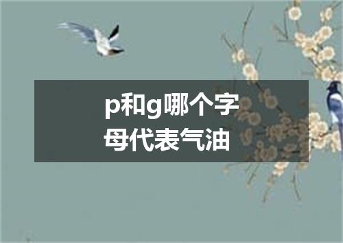p和g哪个字母代表气油