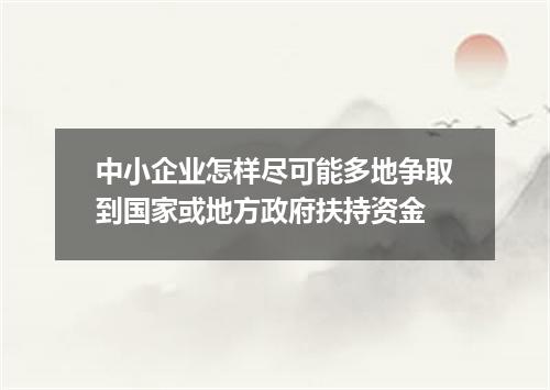 中小企业怎样尽可能多地争取到国家或地方政府扶持资金