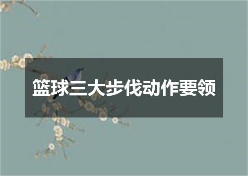 篮球三大步伐动作要领