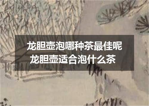 龙胆壶泡哪种茶最佳呢 龙胆壶适合泡什么茶