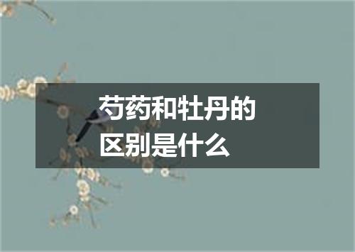 芍药和牡丹的区别是什么
