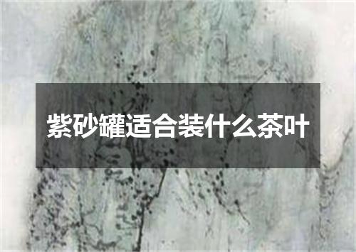 紫砂罐适合装什么茶叶