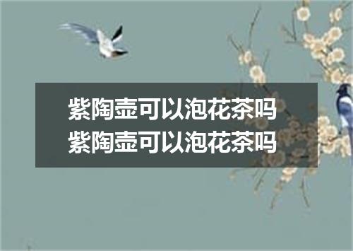 紫陶壶可以泡花茶吗 紫陶壶可以泡花茶吗