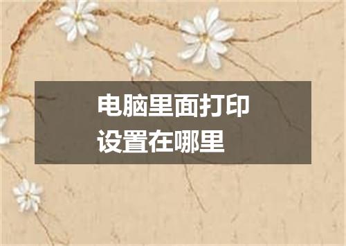 电脑里面打印设置在哪里