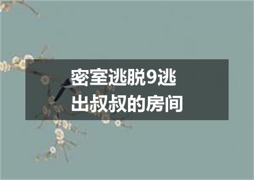 密室逃脱9逃出叔叔的房间