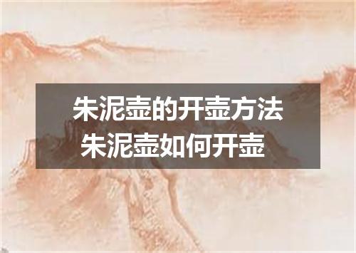 朱泥壶的开壶方法 朱泥壶如何开壶