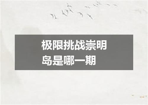 极限挑战崇明岛是哪一期