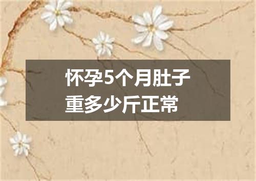 怀孕5个月肚子重多少斤正常