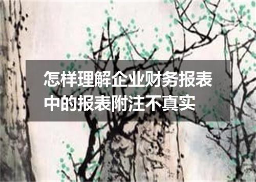 怎样理解企业财务报表中的报表附注不真实
