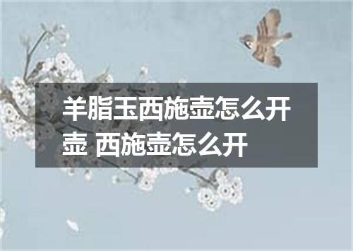 羊脂玉西施壶怎么开壶 西施壶怎么开