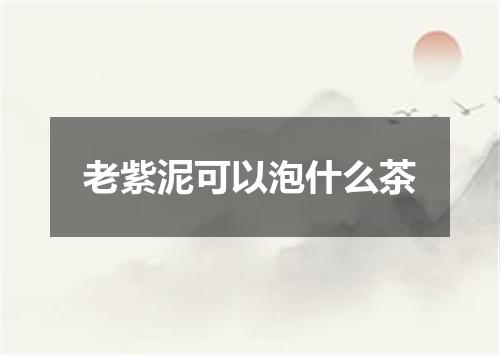 老紫泥可以泡什么茶