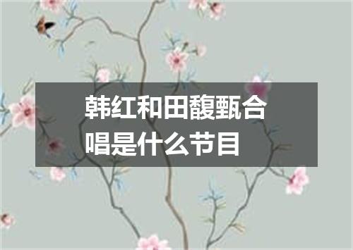 韩红和田馥甄合唱是什么节目