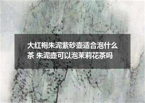 大红袍朱泥紫砂壶适合泡什么茶 朱泥壶可以泡茉莉花茶吗