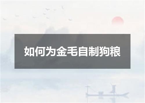 如何为金毛自制狗粮