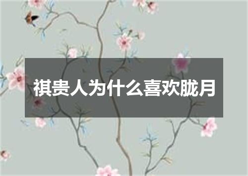 祺贵人为什么喜欢胧月