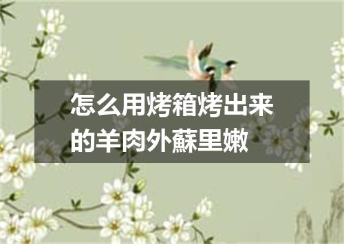 怎么用烤箱烤出来的羊肉外蘇里嫩