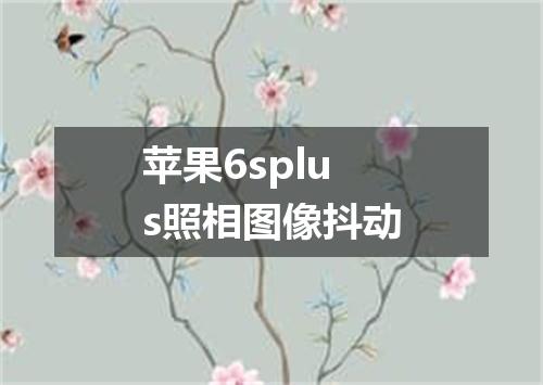 苹果6splus照相图像抖动