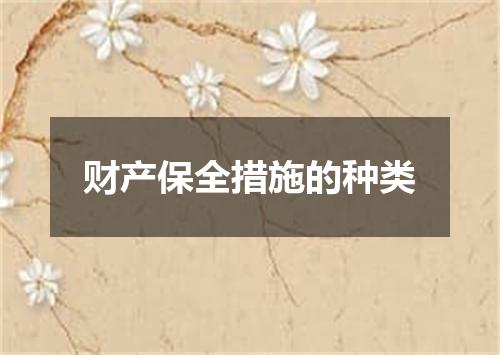 财产保全措施的种类