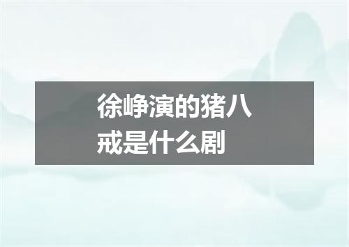 徐峥演的猪八戒是什么剧