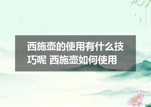 西施壶的使用有什么技巧呢 西施壶如何使用