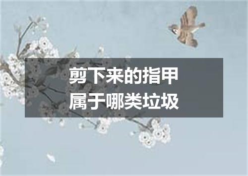 剪下来的指甲属于哪类垃圾