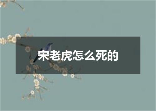 宋老虎怎么死的