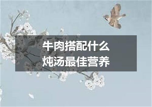 牛肉搭配什么炖汤最佳营养